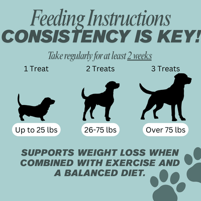 Weight Loss Bites - Matovia