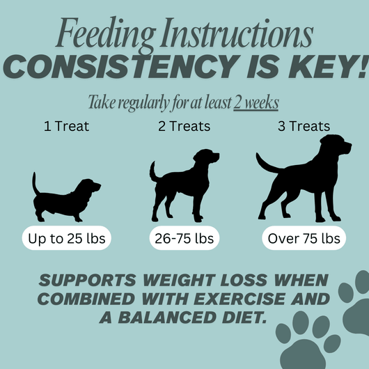 Weight Loss Bites - Matovia